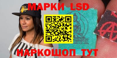 шишки Кудрово