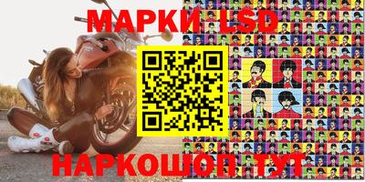 индика Кузнецк