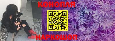 шишки Кудрово